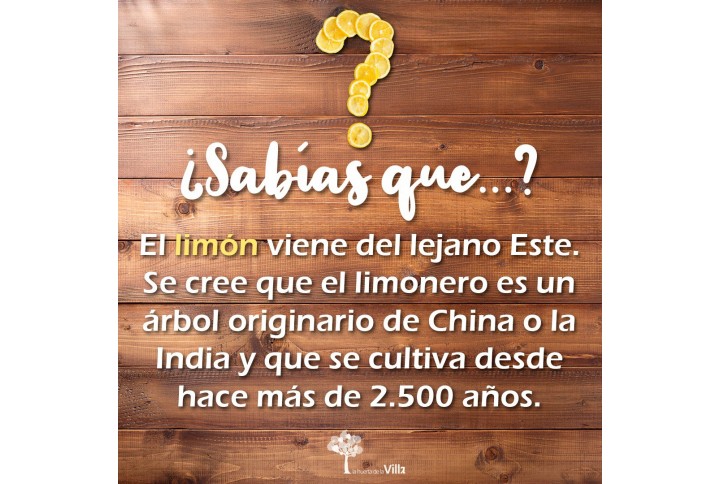 ¿Sabías que?
