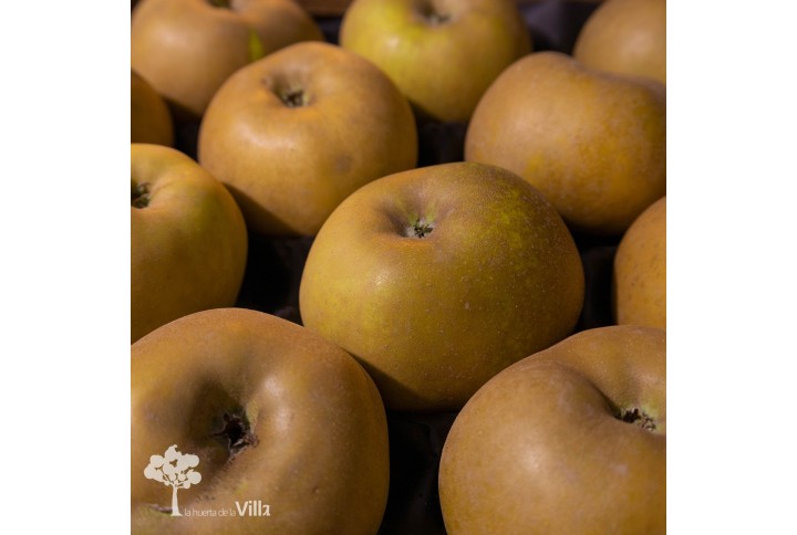 Manzana 'Reineta Gris'