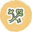 Verdura
